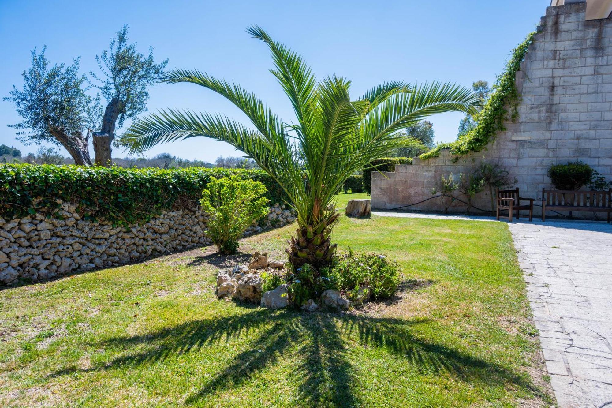 Agriturismo Masseria Del Bosco Makyva Borgagne Kültér fotó